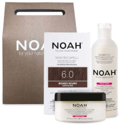 NOAH Gift Set Color Protective Shampoo & Hair Mask + Standard Hair Color 6