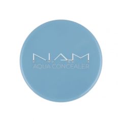 NAM Aqua Concealer (4g)