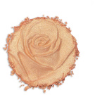 Physicians Formula Rosé All Day Petal Glow (11g) Freshly Picked - Champagne