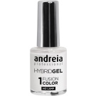 Andreia Professional Hybrid Gel - Fusion Color (10,5mL) H1