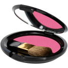 Layla Cosmetics Top Cover Compact Blush 010