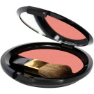 Layla Cosmetics Top Cover Compact Blush 008